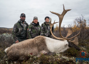 Quebec Big Game Hunting kill