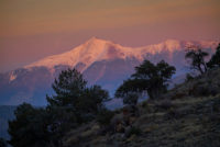 Sierra Nevada bjergkæde